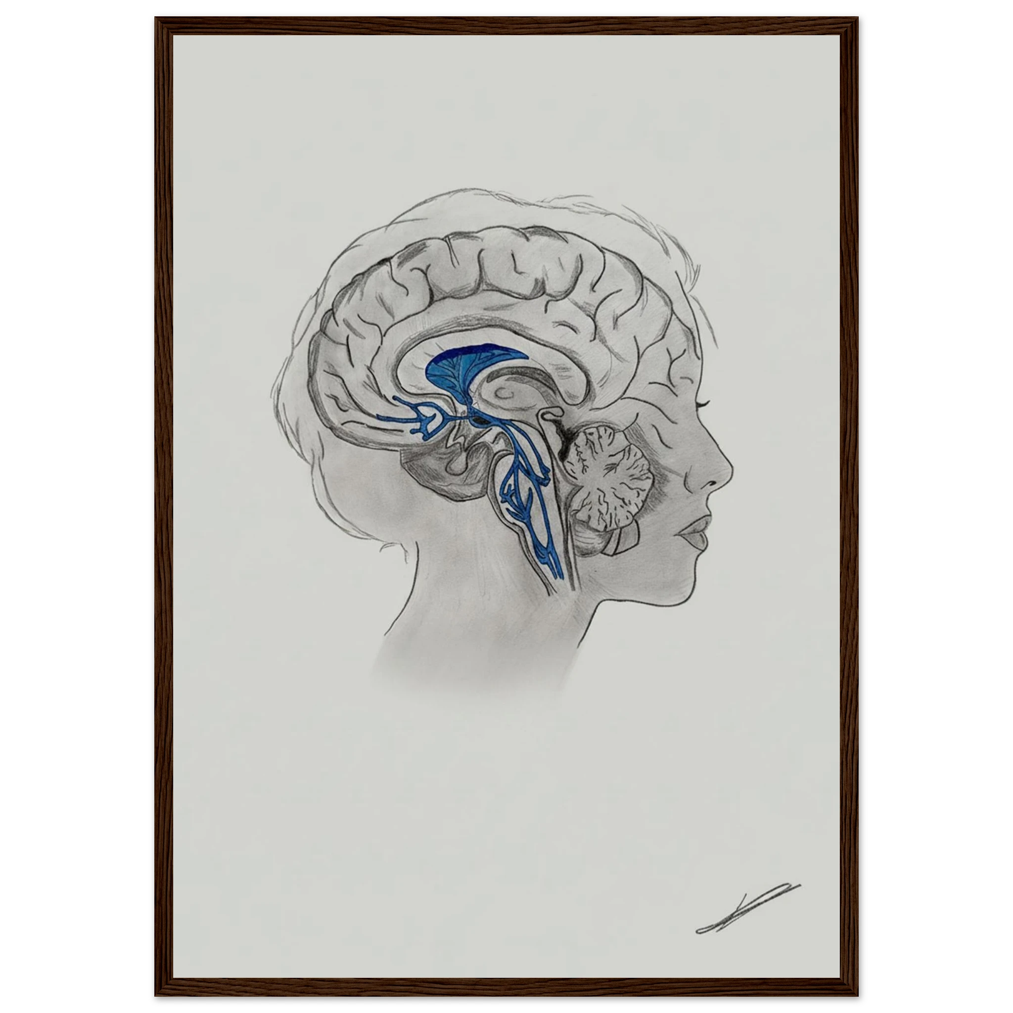 1c5ed310-b64e-4f6a-acee-187484fd511c