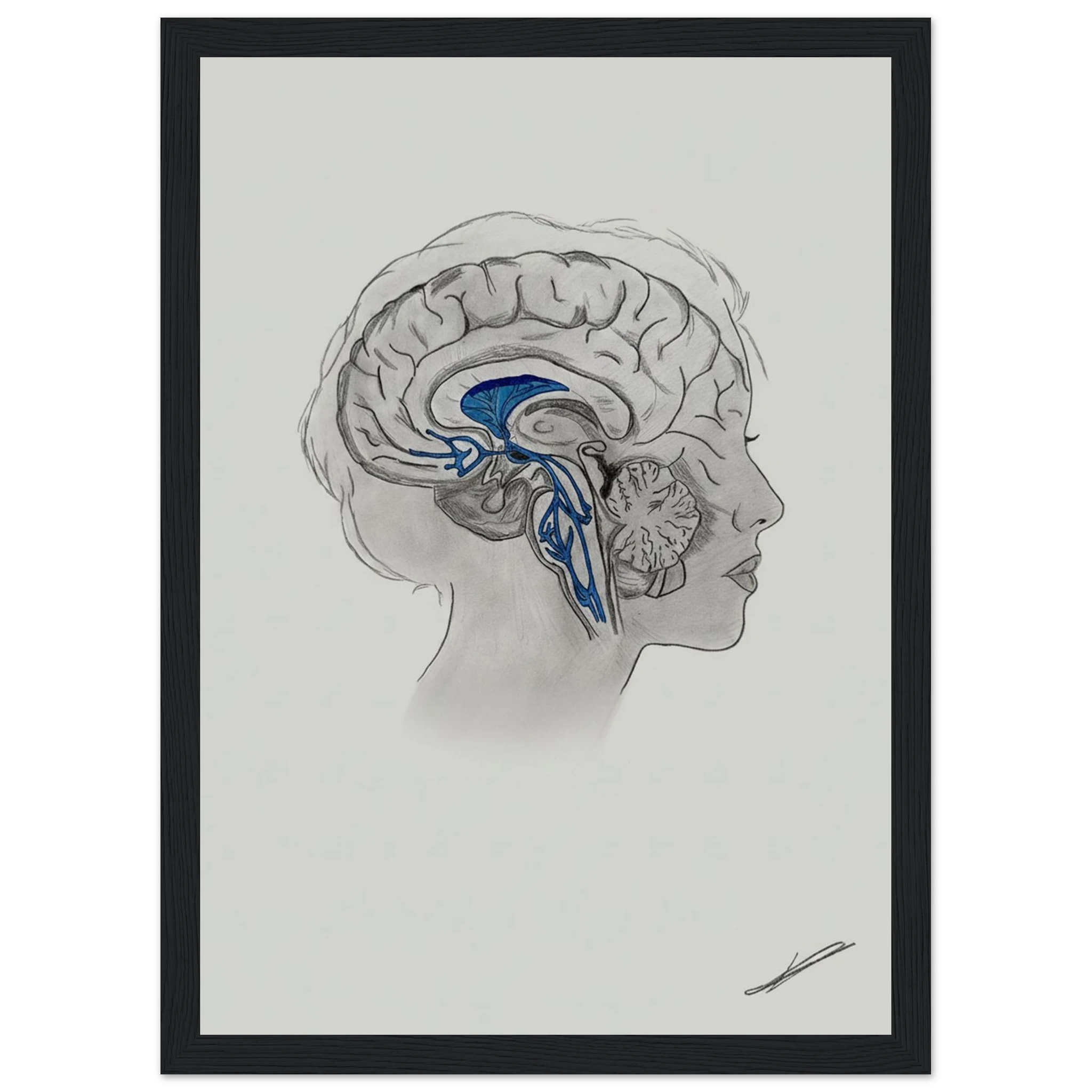 1d2be59e-0261-447b-99e1-e4d1f3bc3519
