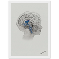 31e7f7b2-6fa6-40ac-8e90-f67a3cd1fa37