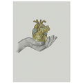 5043fa36-b4bb-4dd0-9ba9-ee149a3a64a0
