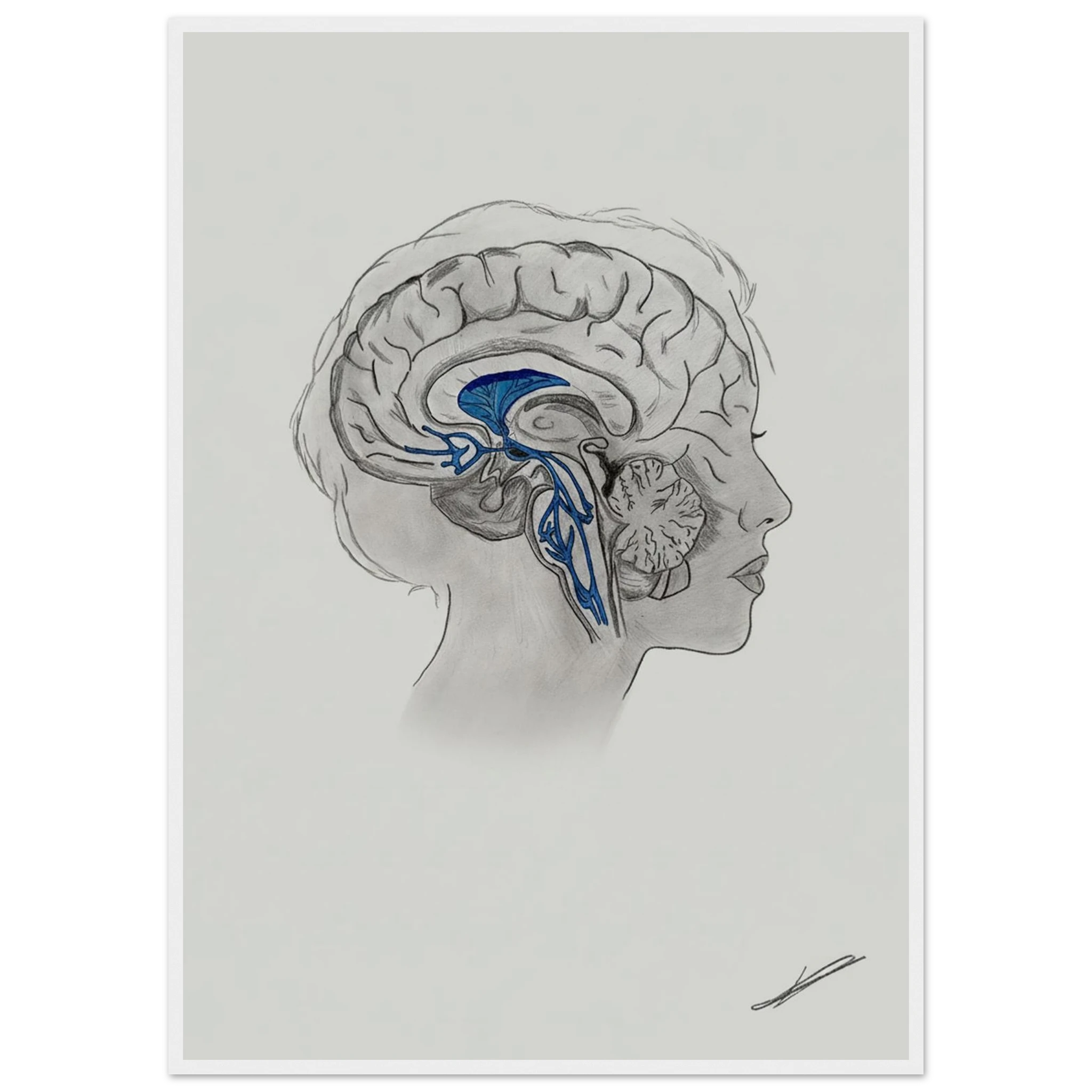 7acc81e2-5c3f-480e-9dd8-80570e78a77a