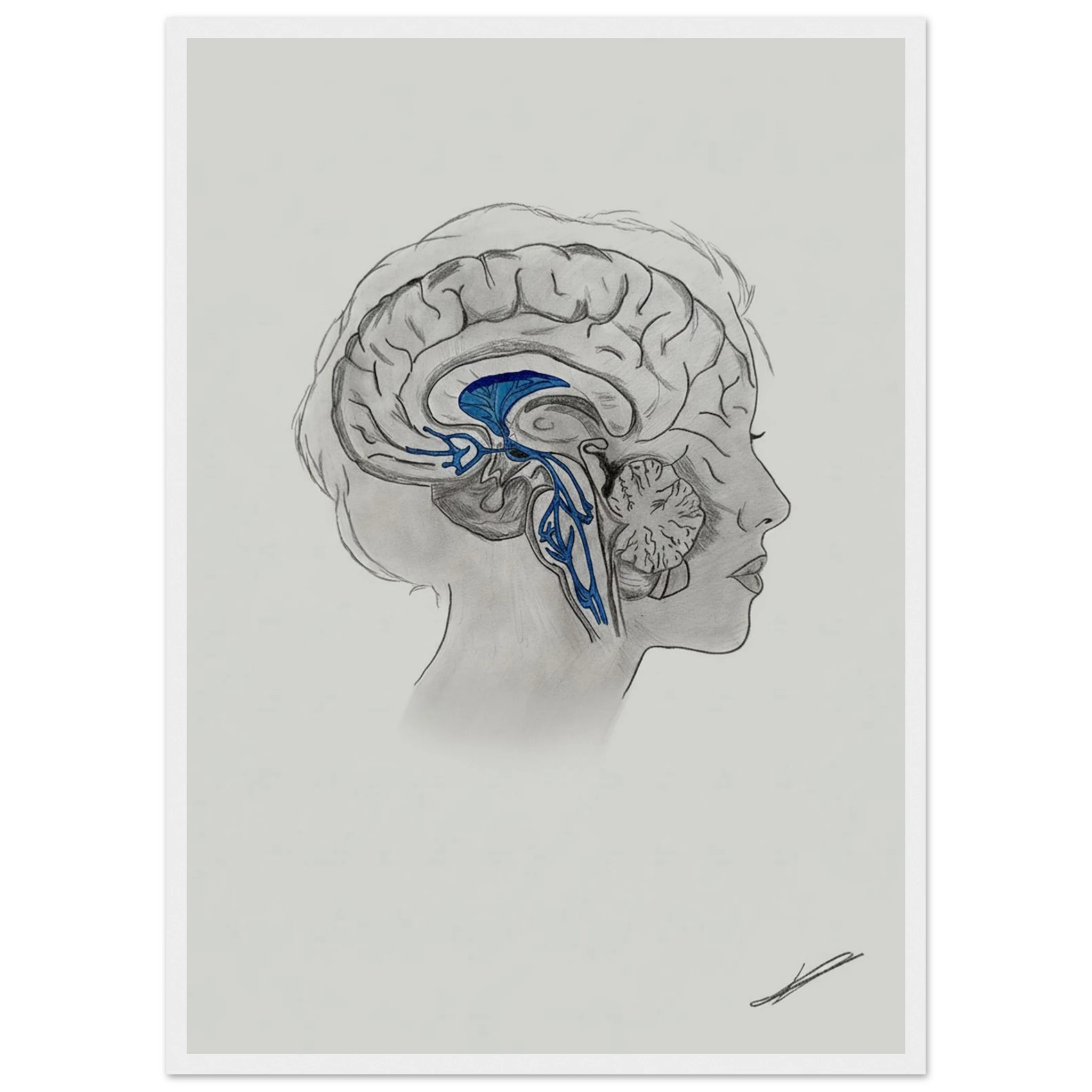 da6c78e0-39d9-40d4-8805-1d75e2f29815